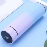 Creative Smart Thermos Bottle with Temperature Display — Beverage Warmers, HIMO Group