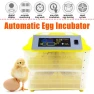 Egg Incubator — Bases, Pro DIY Tool