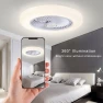 Smart Ceiling Fan with Light — Ceiling Fan Wall Controls, Pro DIY Tool