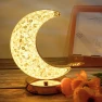 Modern Moon Desk Lamp with USB Charging — Standing Lights, COOKING-MALL