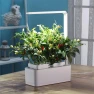 Smart Garden with LED Lighting — Growing Lamps, Назад к истокам