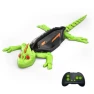 Remote Control Wall Crawler Lizard Robot Toy — Off-Road RC Vehicles, Fungogo