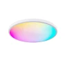 Smart Ceiling Light with RGB, Dimming, and Color Temperature Adjustment — Commercial Lighting Solutions, TrendVibeCN