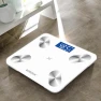 Smart Body Fat Scale — Weight Management Tools, BORO
