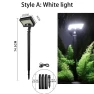 Solar Motion Sensor Outdoor Pathway Lights — Outdoor Security & Flood Lighting, LIUXING