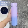Smart Thermos with LED Temperature Display — Thermoses, Binchi Fitness