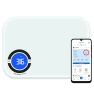 Digital Kitchen Food Scale with App — Weight Management Tools, NEXTLEVEL FIT