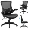 Ergonomic Desk Chair with Adjustable Lumbar Support and Flip-up Arms — Desk Chairs, X XISHE