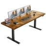Executive Electric Standing Desk — Monitor Stands, OffiGo