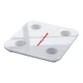 Smart Body Fat Scale — Weight Management Tools, JDST online
