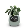 Smart Flower Pot — Garden Planters, Smart Life