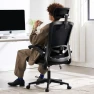 Ergonomic Office Chair with Adjustable Lumbar Support and Headrest — Desk Chairs, Fizzin