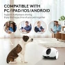 Movable Companion Robot for Pets — Robot Pet, OBEXX MORE THAN FUTURE