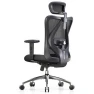 Ergonomic Office Chair — Desk Chairs, SIHOO