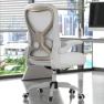 Office Desk Chair with Ergonomic Lumbar Support — Desk Chairs, CASASIO
