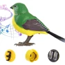 Electric Singing Bird Motion Sound Control Robot, Qinhe