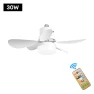 LED Ceiling Fan with Remote Control — Ceiling Fans, Household supplies MH