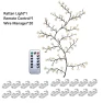 LED Blossom Plum Night Light Strip — LED Strip Lights, Bloom Habitat
