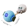 Interactive Ball with Plush Doll — Automatic Cat Toy, Kings City