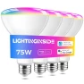 Smart Light Bulb — Smart Light Bulb, Lightinginside