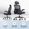 Ergonomic Office Chair — Smart Chairs, Zeonsit