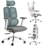 Ergonomic Office Chair — Smart Chairs, ESaure