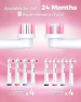 Rotating Electric Toothbrush for Adults — Electric Toothbrush, TEETHEORY