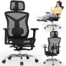 Ergonomic Office Chair with Footrest — Smart Chairs, SUNNOW