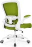 Ergonomic Mesh Office Chair with Adjustable Lumbar Support and Flip-up Armrests — Smart Chairs, FelixKing