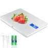 Precision Food Scale — Kitchen Gadgets, MEGAWISE
