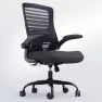 Desk Chair for Long Hours & Lower Back Pain Relief — Smart Chairs, QLTPLUS
