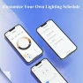 Smart Edison Bulb G80, Color Changing WiFi Smart Light Bulb — Smart Light Bulb, DiCUNO