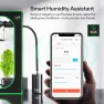 AeroStream H05 Intelligent Wi-Fi Humidifier and AeroWave E6 Gen2 — Humidifier, VIVOSUN