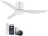 Smart Ceiling Fan with Lights and Remote — Smart Fan, GentleBreeze