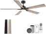 Smart Ceiling Fan with Lights — Smart Fan, Livory