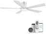 Smart Flush Mount Ceiling Fan with Lights and Remote — Smart Fan, GentleBreeze Store