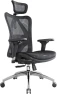 Ergonomic Mesh Office Chair, High Back Home Desk Chair with 3D Armrests, Lumbar Support and Adjustable Headrest,... — Smart Chairs, SIHOO