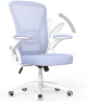 Ergonomic Office Chair, Mid Back Desk Chairs with Adjustable Height, Swivel Chair with Flip-Up Arms and Lumbar Support,... — Smart Chairs, naspaluro