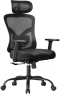 Ergonomic Office Chair with Padded Lumbar Support — Smart Chairs, NOBLEWELL