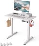 Large Standing Desk with Dual Monitor Setup — Standing Desk, Monomi
