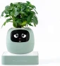 Ivy Interactive AI Desk Companion — Robot Pet, PLANTSIO