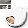 Automatic Cat Feeder Wet Food — Automatic Pet Feeder, Robotail