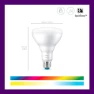 65W BR30 LED Smart Light Bulbs - 2 Pack — Smart Light Bulb, WiZ Connected