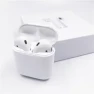 True wireless earbuds with wireless charger — Wireless Earbuds