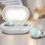 Wireless In-Ear Earbuds with Microphone — Wireless Earbuds
