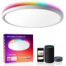 Smart LED Ceiling Light Flush Mount, MELEGAN