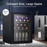 Beverage Refrigerator Cooler, Antarctic Star