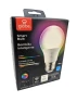 Color-Changing A19 LED Smart Light Bulb — Smart Light Bulb, GLOBE