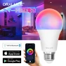 LED Remote Control Light Bulbs — Smart Light Bulb, ORALUCE