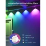Permanent Outdoor Lights, BrizLabs